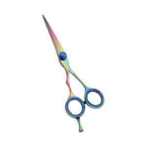Professional Hair Scissors